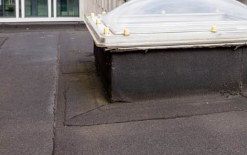 disadvantages of Waen Wen flat roofs